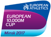 Description de l'image Minsk2017logo.png.