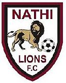 Logo du Nathi Lions