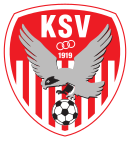 Logo du Kapfenberger SV