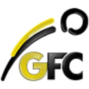 Logo du SG GFC Düren 99