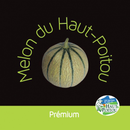 Image illustrative de l’article Melon du Haut-Poitou