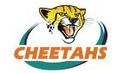 Logo du Cheetahs