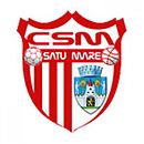 Logo du CSM Satu Mare