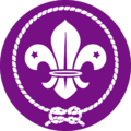 Logo de l'OMMS.