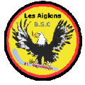 Logo de la section hockey du BSC