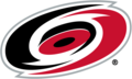 Logo des Hurricanes depuis 1999