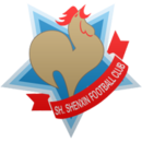 Logo du Shanghai Shenxin