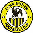 Logo du Tema Youth