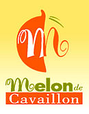 Image illustrative de l’article Melon de Cavaillon