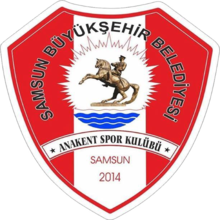 Logo du Anakent Spor Kulübü