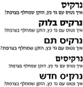 תמונה ממוזערת עבור נרקיס (גופן)