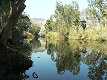 הירדן סמוך למוצאו מהכנרת