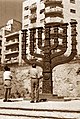 ב'גן המנורה' 1957