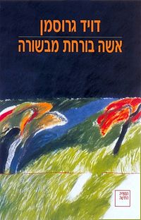 עטיפת הספר