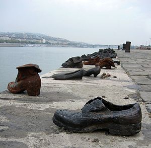 נעליים על הדנובה היא אנדרטת זיכרון ייחודית שהוקמה בשנת 2005 על גדות נהר הדנובה בבודפשט, בירת הונגריה, המנציחה את מאות היהודים שנרצחו בידי גדודי צלב החץ ההונגרים, לאחר שנורו והושלכו למי הנהר בשנים 1944‏-1945. הרוצחים רצו לחסוך בכדורים, ולכן קשרו את היהודים זה לזה, כרכו לגופם אבנים ומשקולות, וירו רק בחלק מהם. באופן זה נפלו כולם אל המים, והחיים טבעו אף הם. בשואה נרצחו 564,500 מיהודי הונגריה.