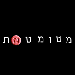 לוגו הסדרה