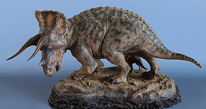 טריצרטופס Triceratops