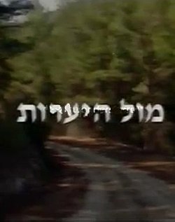 מול היערות