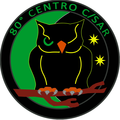 Distintivo dell'80º Centro SAR di Decimomannu.