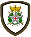 Distintivo di Corpo per uniforme ordinaria CRI