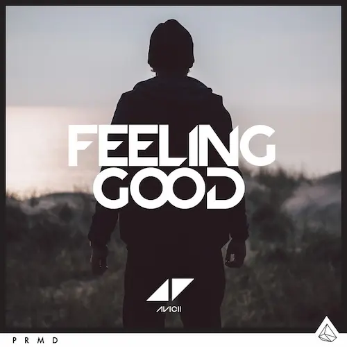 Ficheiro:Feeling Good - Avicii.webp