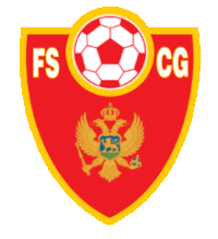 Associação de Futebol de Montenegro