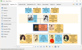 Скриншот программы Древо Жизни
