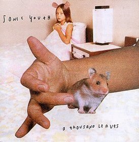 Обложка альбома Sonic Youth «A Thousand Leaves» (1998)