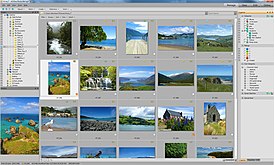 Скриншот программы ACDSee Photo Manager