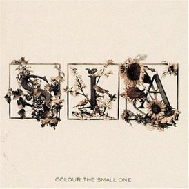 Обложка альбома Сии «Color the Small One» (2004)