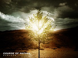 Обложка альбома Course of Nature «Damaged» (2008)