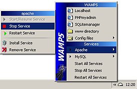 Скриншот программы WampServer