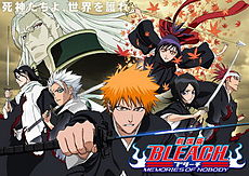 Bleach: Memories of Nobody