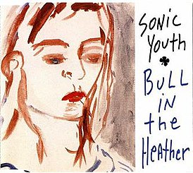 Обложка сингла Sonic Youth «Bull in the Heather» (1994)