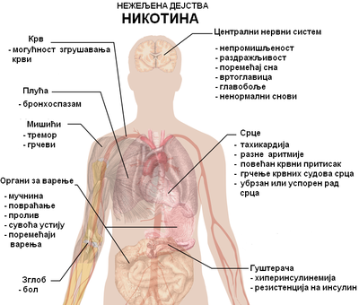 Нежељена дејства никотина