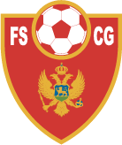 Shirt badge/Association crest