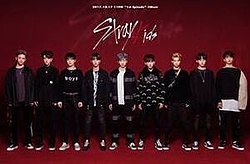 Stray Kids (реаліті-шоу)