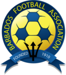 Shirt badge/Association crest