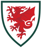 Shirt badge/Association crest