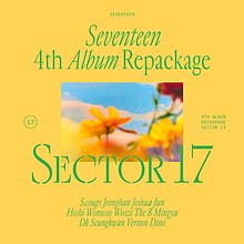 改版專輯《SECTOR 17》數位音源封面