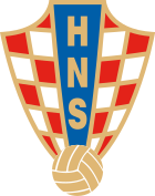 Shirt badge/Association crest