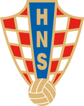 Shirt badge/Association crest