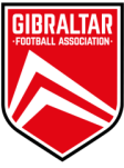 Shirt badge/Association crest