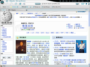 在Windows XP下的Netscape Browser 8.1.2版本浏览器