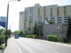 Polish Army Avenue (Pl: Aleja Woj. Pol.)