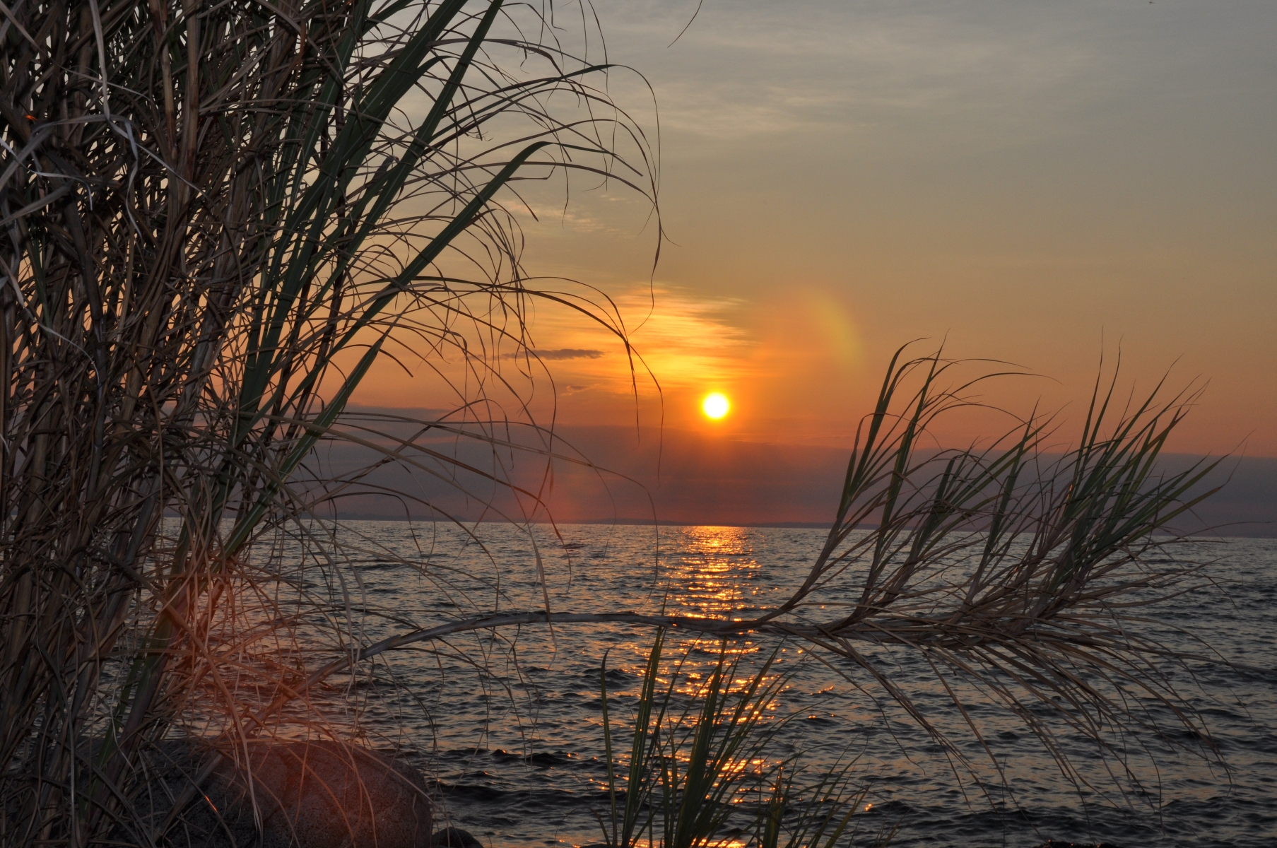 Sun over the Lake Niassa Reserve (5888437856)