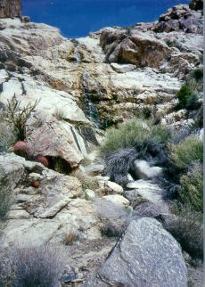 Wildernis in de Old Woman Mountains