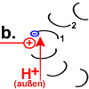 Schritt 2