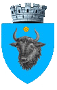 Wappen von Sighetu Marmației