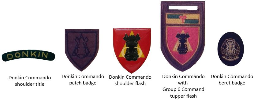 SADF era Donkin Commando insignia